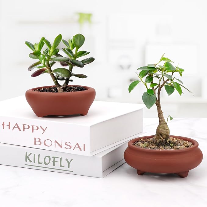 Bonsai Planter 2 pc 3.7" + 3.9" Unglazed Round Ceramic Succulent Pots Set