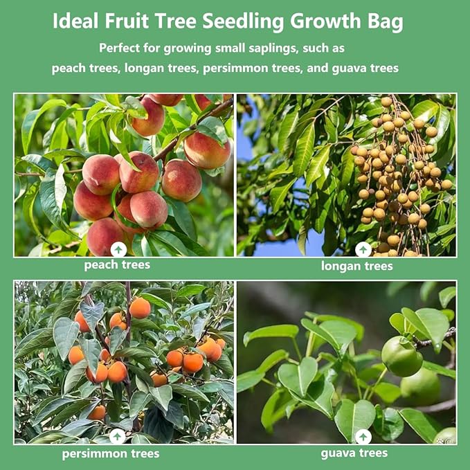 Belit 100 Pcs Plant Nursery Bags, Plastic Seedling Pots Container for Fruit Tree, Flower, Starting saplings, Plant Grow(3.5"x7.6")