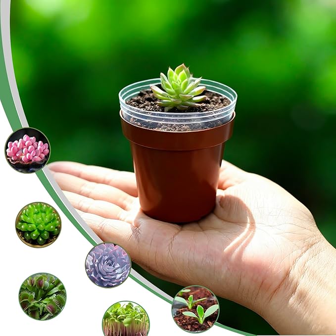 2 Inch Round Nursery Seedling Pots (Red+Clear),100 Pack Mini Plastic Seedling Planter,Sturdy Small Plastic Pots with Drainage Holes for Seed Starting, Succulents, Indoor Outdoor Gardening