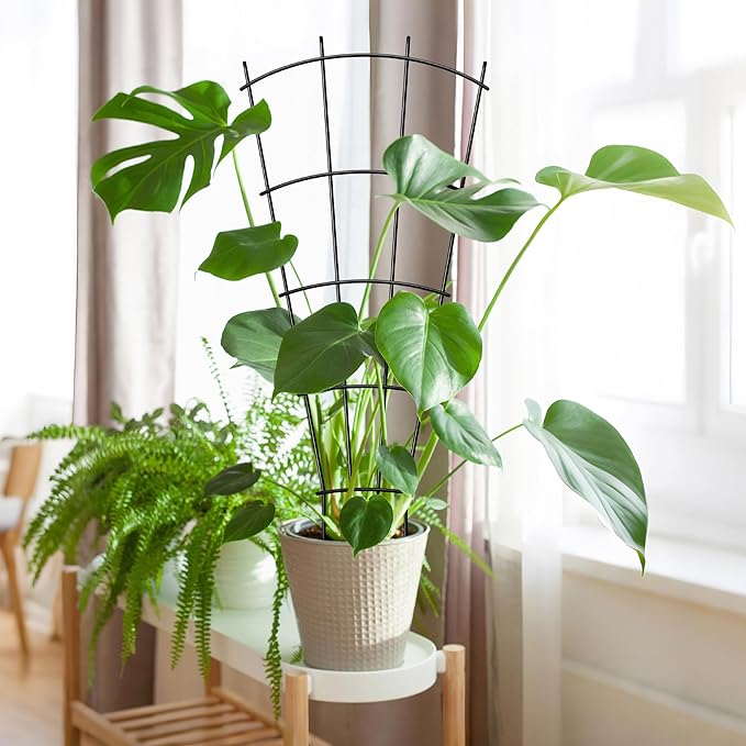 4 Pack 23'' Indoor Plant Trellis for Potted Plants Climbing, Outdoor Metal Garden Trellis Houseplants Flowers Vine Ivy,Fan Shape, Black