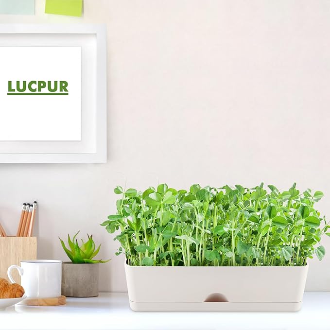 6-pack Large Window Boxes Planters 16 Inch Rectangle Plant Box Rectangular Planters for Outdoor and Indoor Plants Plastic Windowsill Planter for Herbs Vegetable Flowers Long Window Sill Planters