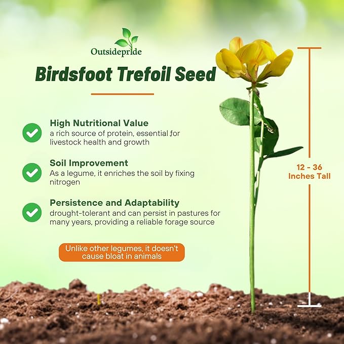 Outsidepride Perennial Birdsfoot Trefoil Seed - 10 lbs Nitrocoated, Inoculated, Winter Hardy, High Protein Forage Legume Seeds for Pasture, Hay, Silage Production & Livestock Grazing