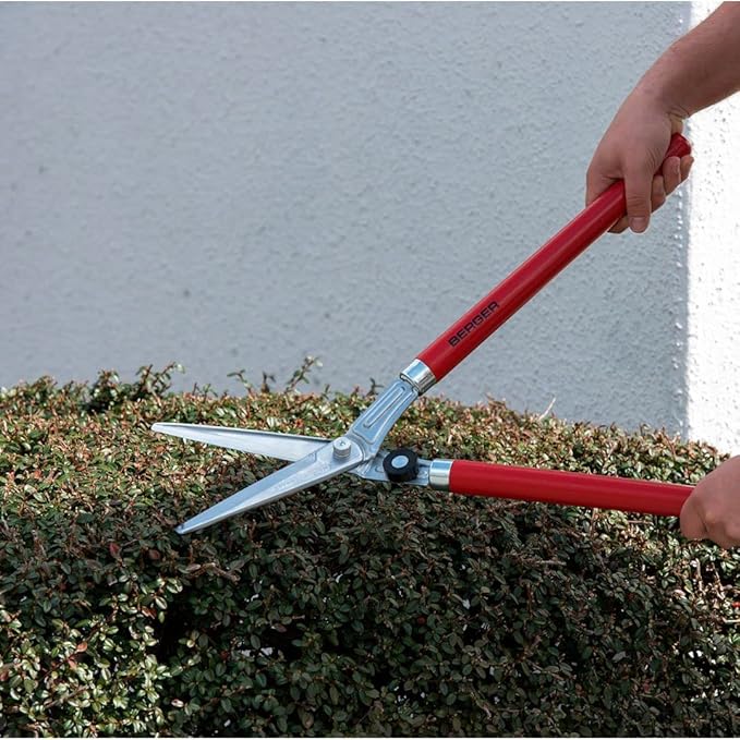 BERGER Professional Lightweight Topiary Hedge Shear, 6.3" Chromium-Plated Blades, Sap Groove to Prevent Sticking, Shock-Absorbing Buffer, Beech Wood Handles, 2520