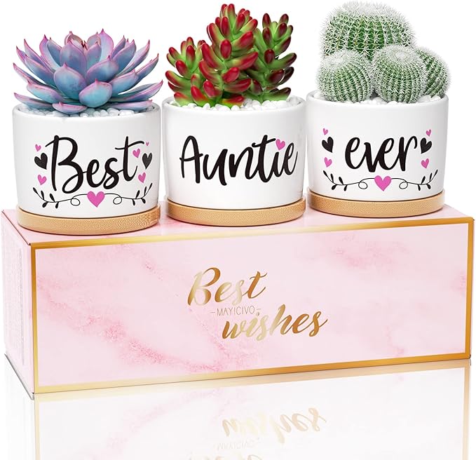 MAYICIVO Christmas Aunt Gifts from Niece Nephew, Best Gifts for Aunt, Best Auntie Ever Gifts Succulent Pots for Plants Indoor Ceramic Planter, Gift Boxed Aunt Birthday Gifts for Aunt Auntie