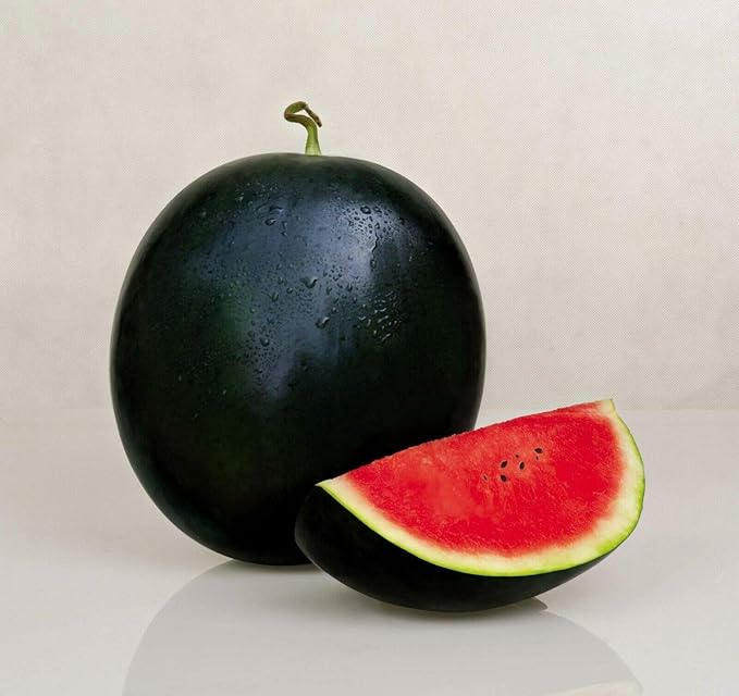 Watermelon Black Beauty Seeds – Citrullus Lanatus | Sweet & Juicy Heirloom Variety | Large, Dark Green Melons