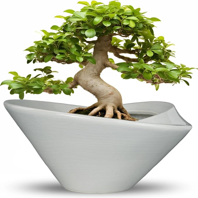 Bonsai Pots 13 Inch - Ceramic Succulent Pots with Drainage Hole Decorative Plant Pot Indoor Large Outdoor Planter Modern Flower Pot for Home Garden Office Room Decor Gray