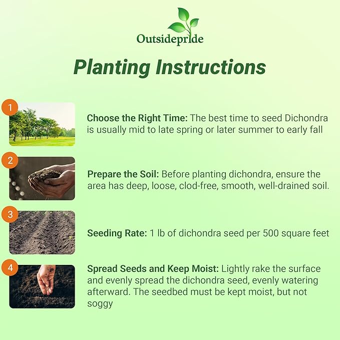 Outsidepride Perennial Dichondra Repens Seeds - 5 lbs Dense Green, Low-Maintenance Ground Cover Seeds for Planting, Ideal Lawn Alternative in Sun or Shady Areas & Erosion Control in USDA Zones 8-11