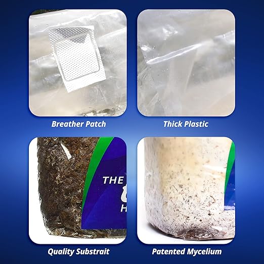 Exhale Homegrown CO2 Micro - CO2 Bag for Indoor Grow Rooms & Tents - CO2 for Grow Tents - Foliage Mushroom Bag - 1.5 lbs.