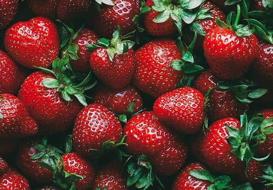 Ruby Royale Strawberry Plants - Grow Giant Strawberries - Bare Root Plants (30 Plants)