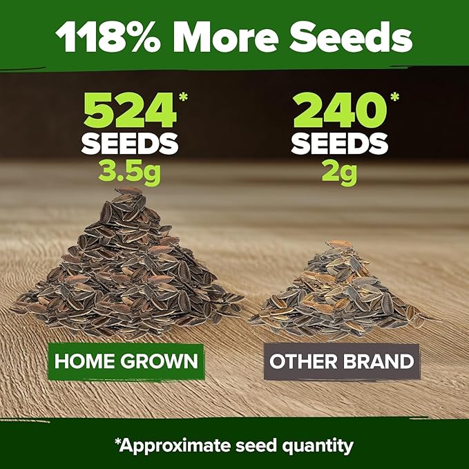HOME GROWN Zinnia Dahlia Seeds Pack for 2026 – 524 Non GMO Flower Seeds | Vibrant Zinnia Elegans for Pollinator Gardens, Borders & Containers | Easy-to-Grow Outdoor Blooms