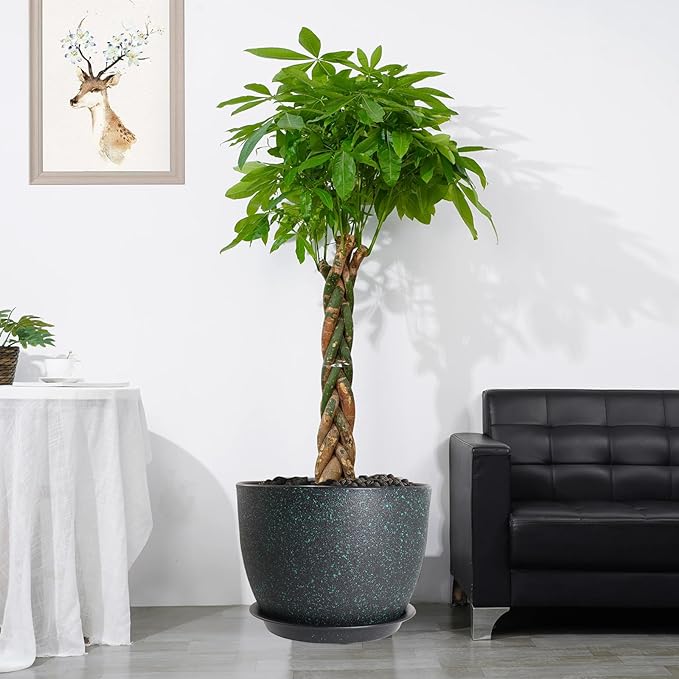 12/10/9 Large Modern Plant Pots, Plastic Planters with Drainage Holes and Saucers for Indoor Outdoor Plants Flowers, Black with Green Speckles