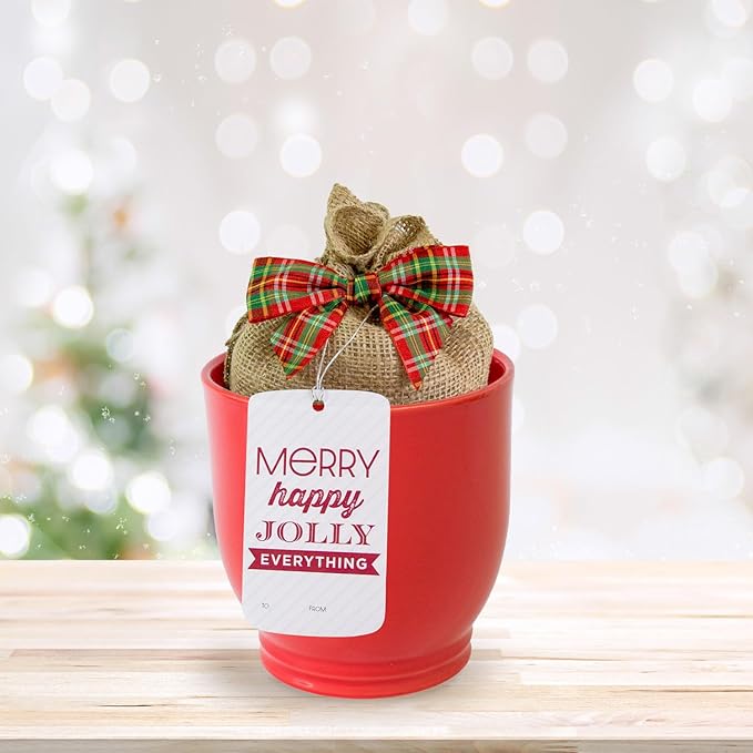 Garden State Bulb Red Double Amaryllis Bulb Gift Kit, 26/28cm, Decorative Planter (Red Ceramic)
