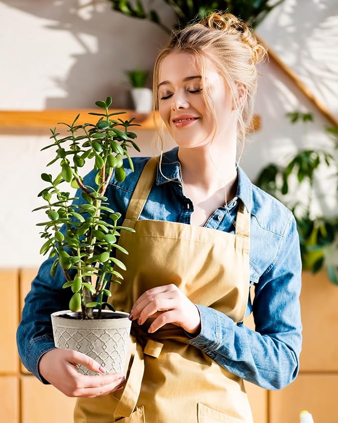 Plant Pots, Planters Pots for Indoor Plants 5.5 Inch Ceramic pots for Plant *2, Flower Pots with Drainage, Planters for Indoor Plants, Small Pots for Plant, Cement Gray