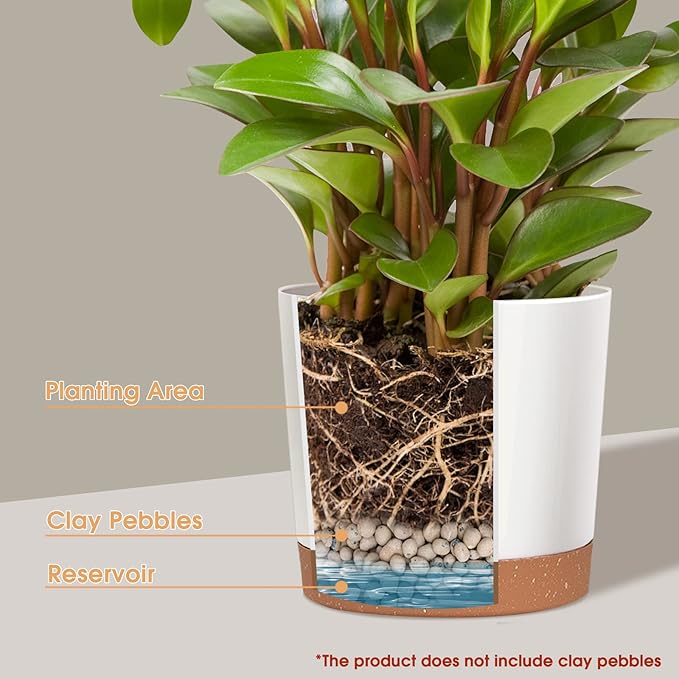 kubvici Plant Pots for Indoor Plants, 2 Pack 12 Inch Pots for Plants, Lightweight Large White Planters for Indoor Outdoor, Big Plastic Plant Pot Flower Pot with Drainage (12” White)