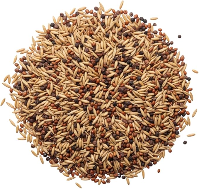 Cover Crop 3 Seed Mix - Oats, Daikon Radishes and Purple Top Turnips - Winter Kills, Promotes Earth Worms, Tons of Forage (2 Pounds)