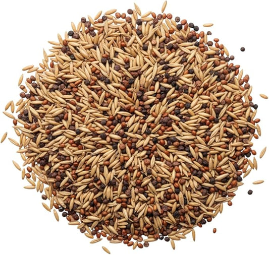 Cover Crop 3 Seed Mix - Oats, Daikon Radishes and Purple Top Turnips - Winter Kills, Promotes Earth Worms, Tons of Forage (2 Pounds)
