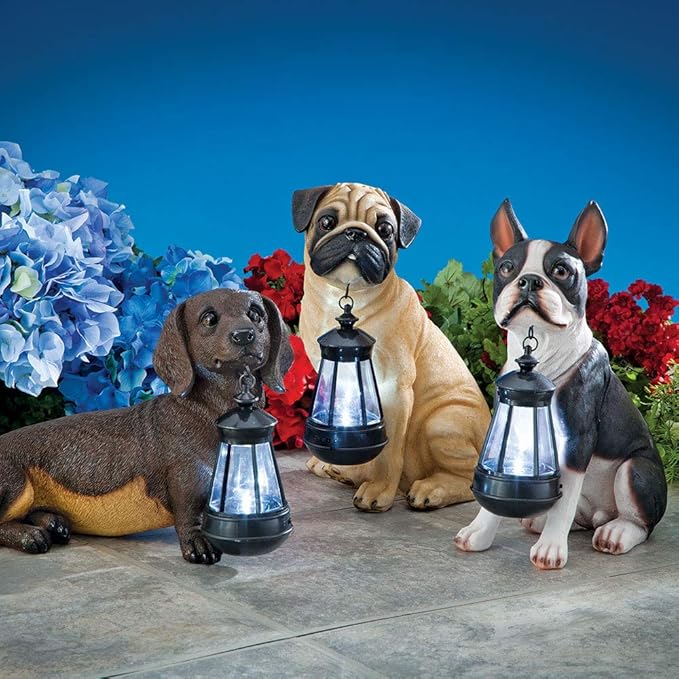 Bits and Pieces - Fawn Pug Solar Lantern Statue - Solar Powered Garden Lantern - Resin Dog Sculpture with LED Light - Outdoor Lighting and Décor