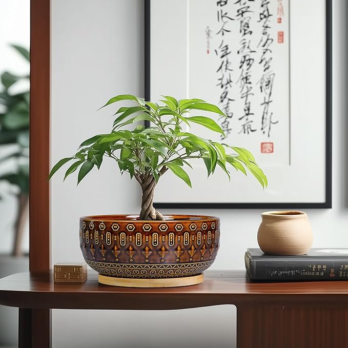 Bonsai Pots - 8 Inch Ceramic Planter with Drainage Hole and Saucer, Boho Round Shallow Succulent Bowl for Indoor Plants Flower, Room Decor, Gifts for Plant Lovers, Brown