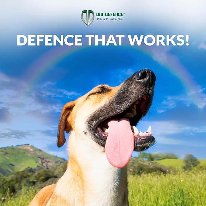 Dig Defence Original Animal Barrier Fence - Small/Medium Decorative Garden Fence, Outdoor No Dig Fence for Dogs and Rabbits, Yard and Patio - 32”(L) x 8”(H), 12 Pack