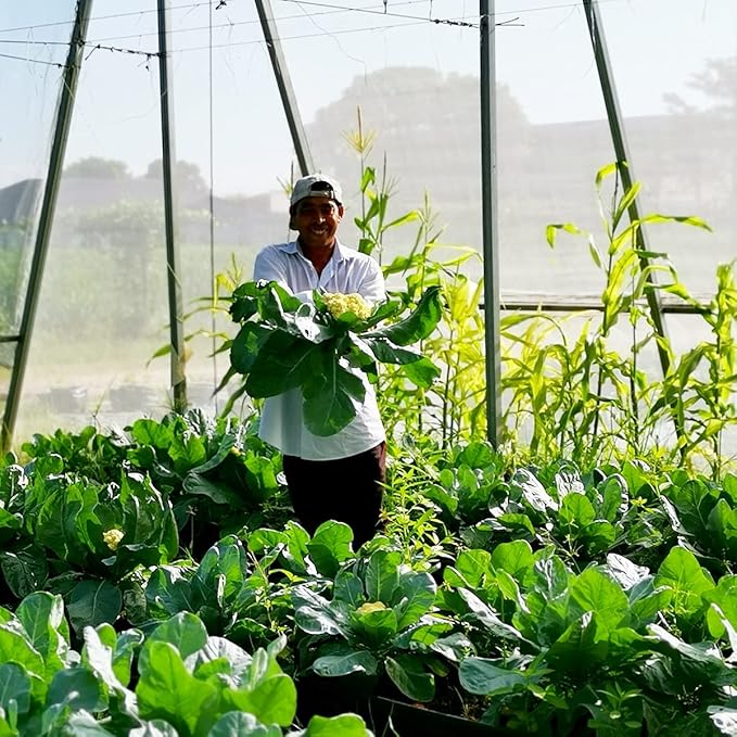 Garden Netting Pest Barrier: Ultra Fine 15'x10' Bug Netting for Garden Protection Row Cover Raised Bed Screen Mesh Greenhouse Mosquito Net, Protecting Tree Plants Vegetable Flowers Fruits