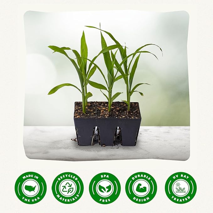 Epic Gardening Reusable Seed Starter Tray - Easy Watering Seed Starting Trays - Gardener Friendly Plant Trays for Seedlings | UV-Treated & BPA-Free -6-Cell Seed Starting Trays - 6 Trays/Black