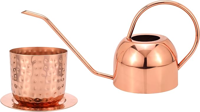 Glytterati- Indoor Watering Can and Planter with Plate.