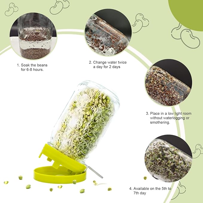 Wide Mouth Mason Jar Sprouting Kit with Sprouting Lids and Drainage Tray - Ideal for Bean, Alfalfa Sprouts and Microgreens, Vertical and Angled Placement Support(Two lids and two drip trays)