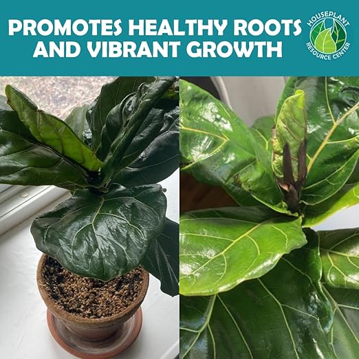 Houseplant Soil Conditioner & Probiotic – Organic Growth Booster (1-1-4) for Rejuvenating Tired Plants | Improves Soil Structure & Nutrient Availability for Stronger Roots & Fuller Leaves | 4 oz