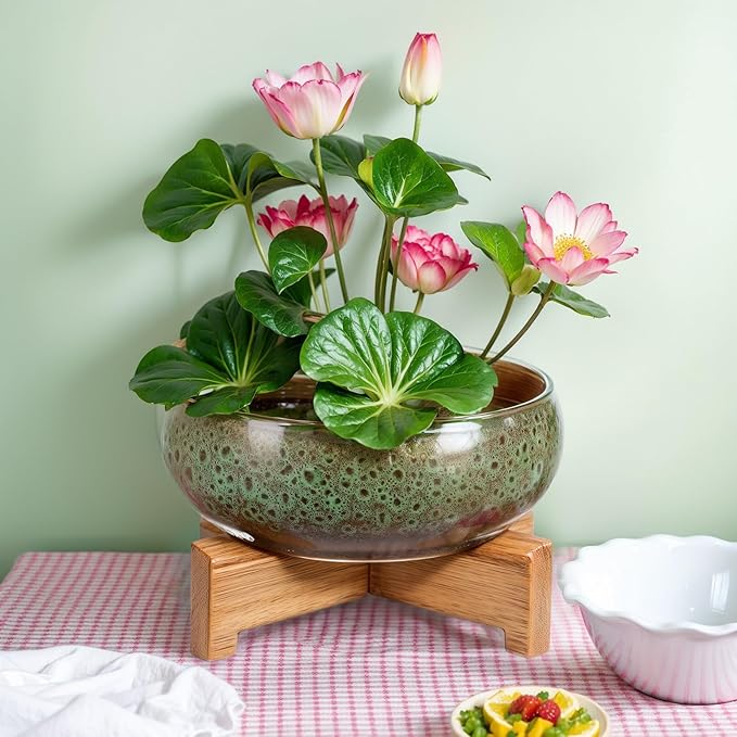 Baderke 2 Pcs Lotus Bowl Planter with Base Ceramic Hydroponic Planter Water Lily Bowl for Planting Aquatic and Indoor Plants Household Ceramic Basin Decor (Green)