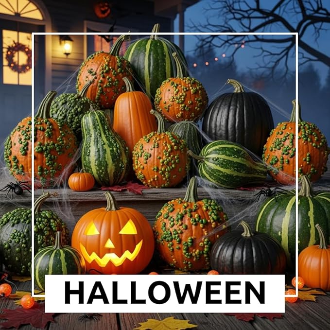 Exotic Black Kat Pumpkin Seeds for Planting (10 Seeds) – Deep Black, Smooth-Skinned Pumpkins – Rare Decorative Variety for Fall Gardens, Halloween Displays & Autumn Décor