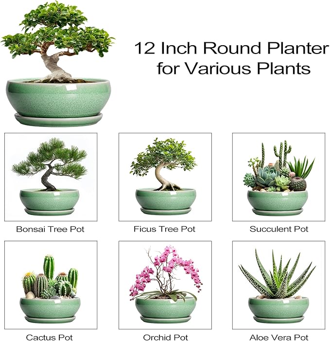 SQOWL Succulent Planter 12 Inch - Ceramic Bonsai Pots with Drainage Hole and Saucer, Large Shallow Planter, Bowl Round Planter for Indoor Outdoor Plants Flower, Room Decor, Birthday Gifts, Green