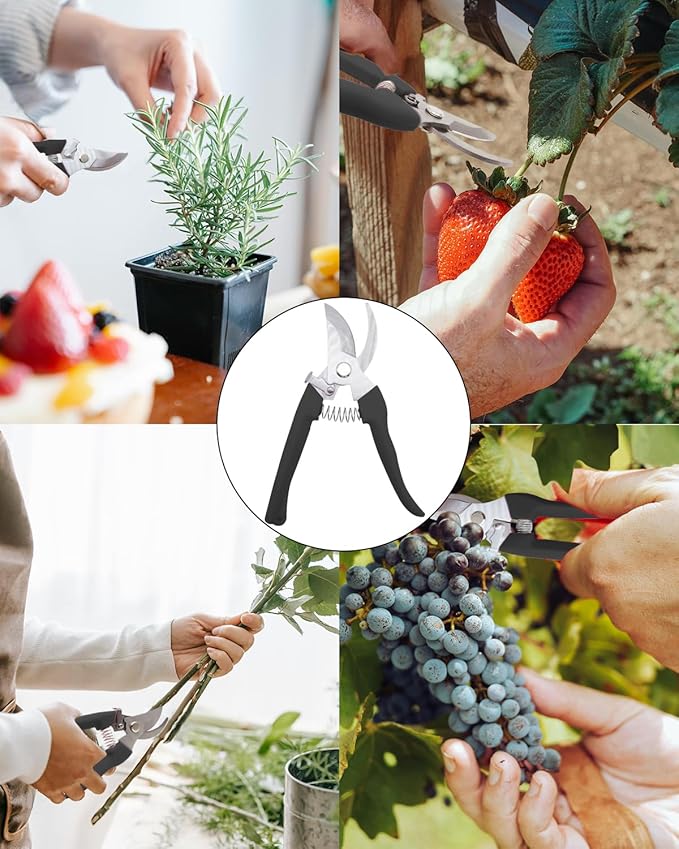 Pruning Shears for Gardening, 4 Pack Garden Scissors for Cutting Fresh Flowers, Floral Clippers for Plants, Fruits (Black)