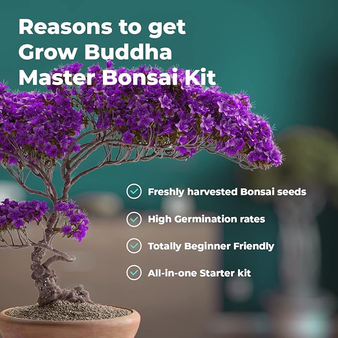 Grow Your Own Bonsai kit | Tree Plants & Seeds | Crafts Hobby Kits | Easily Grow 4 Types of Bonsai Trees with Our Complete Beginner Friendly Kit | Christmas Gift Ideas for Plant Lovers