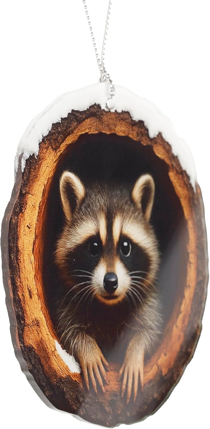 Funny Christmas Ornaments - Raccon Gifts - Raccoon Christmas Ornaments - Animal Lovers Ornaments - Racoon Ornament - Christmas Ornament 2025 - White Elephant Gifts - Xmas Tree Funny Decoration