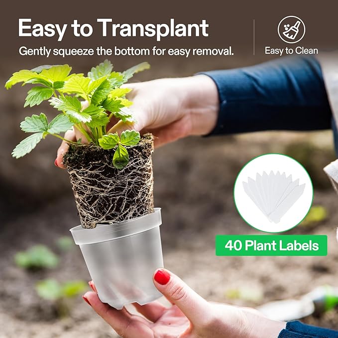 VIVOSUN 36 Packs 4/5/6 Inch Clear Nursery Pots with Drainage Holes, Reinforced Plastic Seedling Pots for Plants, Flowers, Cuttings, and Succulents, 40 pcs Plant Labels