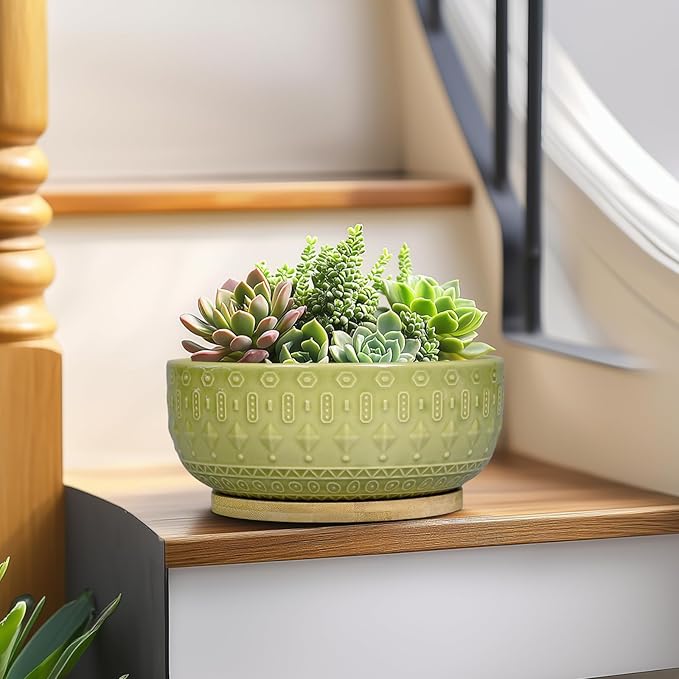 Bonsai Tree Pot - 8 Inch Ceramic Succulent Pots with Drainage Hole and Saucer, Boho Round Shallow Planter Bowl for Indoor Plants Flower, Office Decor, Gifts for Women & Men, Green