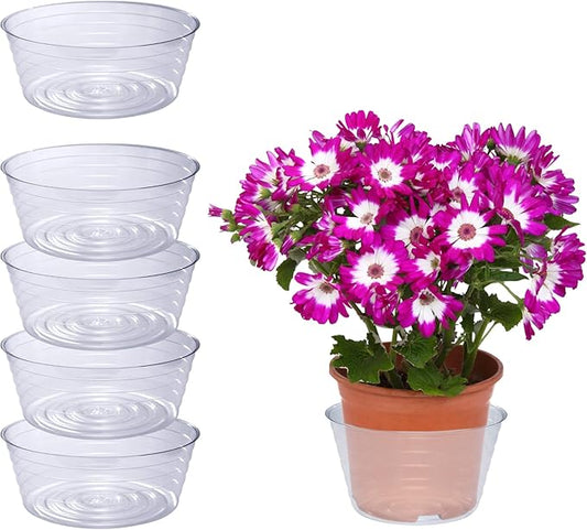 Curtis Wagner Plastics Drip Pan Saucers (5-Pack) - Clear, Deep (Diameter: 8.5" Base, 10" Top, 2.62" Depth) Thin Plastic Plant Tray Indoor Outdoor