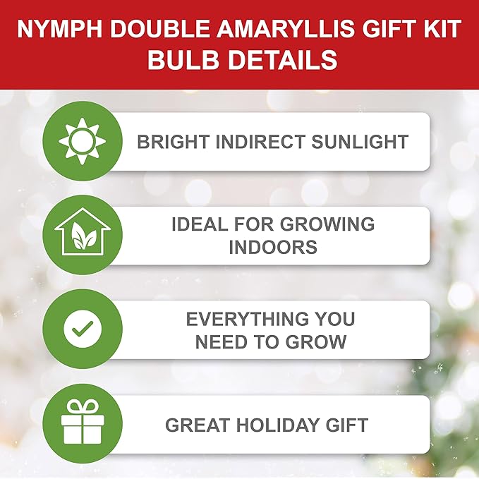 Garden State Bulb Galaxy Nymph Double Amaryllis Bulb Gift Kit, 26/28cm (Red Planter)