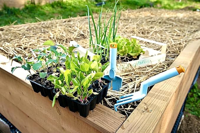 Blue Mountain Hay | Organic Garden Straw (10 lb) | Natural Mulch for Gardening, Flower Beds, Yard Landscaping, New Lawn Grass Seeding, Composting | Covers up to 150 sq ft
