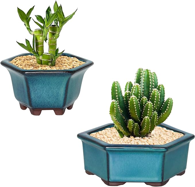 Bonsai Planter 2pc Small Succulent Glazed Pots 4.9" and 6.1" + 6 Soft Mesh Drainage Screens
