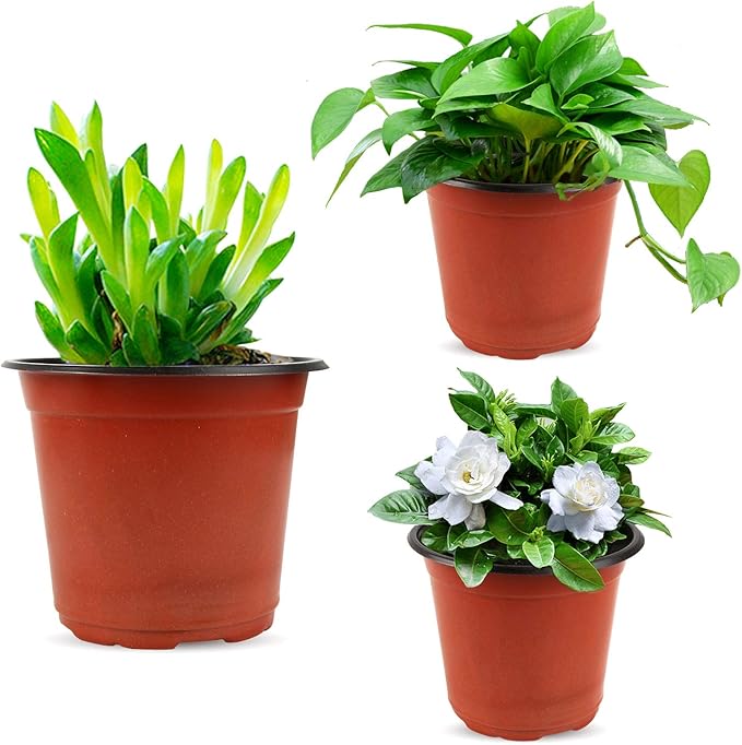 Augshy 130 Packs 6 Inches Plastic Plant Nursery Pots, Seed Starting Pot Flower Container for Succulents, Seedlings, Cuttings, Transplanting, Planter Home Docer.