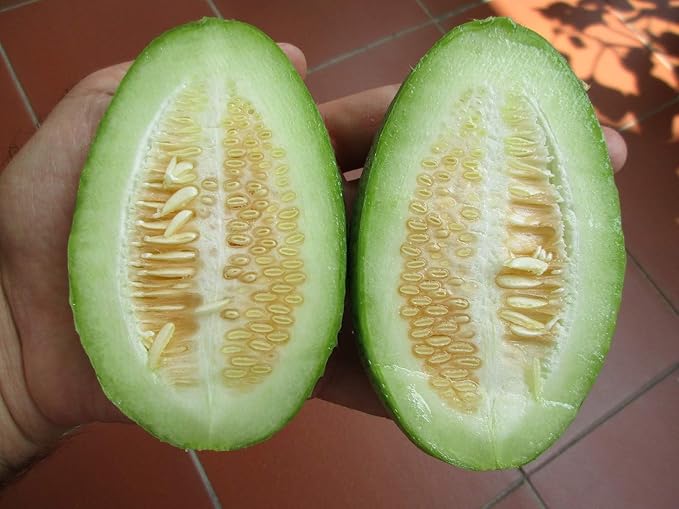Seeds Vegetable Cucamelon (Cross Cucumber and Melon) Vine - 20 Seeds