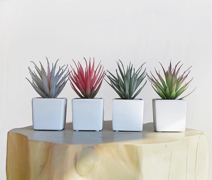 SUNPRAIRIE Classic Set of 4 Faux Succulents 7” Tall in Ivory White Stucco Ceramic Pots-Realistic Multi Colored Artificial Succulents Plants for Home & Office Decor.