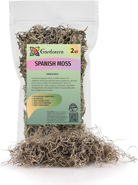 Gardenera Premium Natural Spanish Moss | Natural Preserved - Great Ground Cover - Filler for Potted Plants - 2 Quart Bag (GRD-SPANISH-MOSS-2QT)