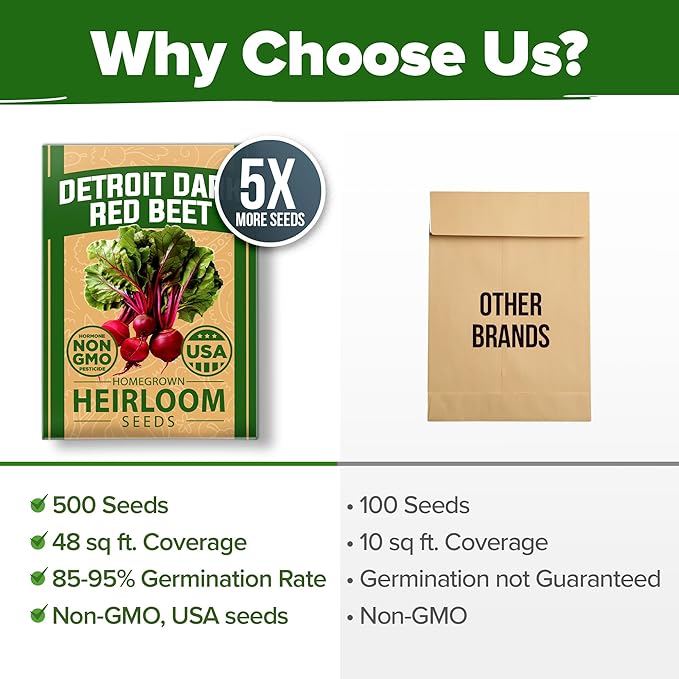 HOME GROWN Detroit Dark Red Beet Seeds Pack - 500 Heirloom Vegetable Seeds for Planting - Red Beet for Home Garden – High Germination(Beta vulgaris)