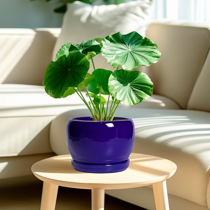 SQOWL 8 Inch Plant Pot - Ceramic Planter for Indoor Plants Outdoor, Ceramic Flower Pot with Drainage Hole and Saucer, Modern Round Planter, Bathroom Decor, Gifts for Plant Lovers, Blue