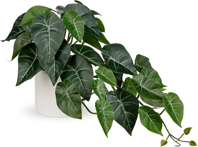 Hollyone Artificial Plants Potted Alocasia Amazonica Polly Faux Plant with White Ceramic Pot Fake Hanging Plants Indoor for Home Living Room Shelf Office Aesthetic Decor