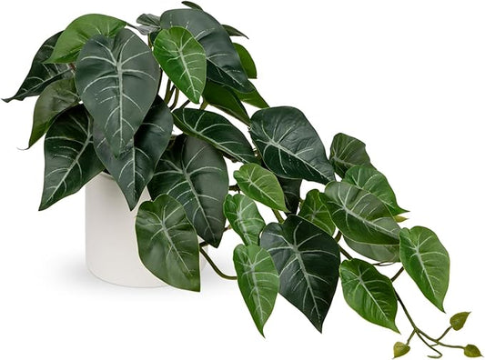 Hollyone Artificial Plants Potted Alocasia Amazonica Polly Faux Plant with White Ceramic Pot Fake Hanging Plants Indoor for Home Living Room Shelf Office Aesthetic Decor