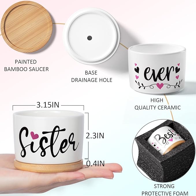 Christmas Sisters Gifts from Sister, Best Gifts for Sister from Brother, Best Sister Ever Ceramic Succulent Pots for Plants Indoor, Gift Boxed Thanksgiving Birthday Gifts for Sister in Law Soul Sister