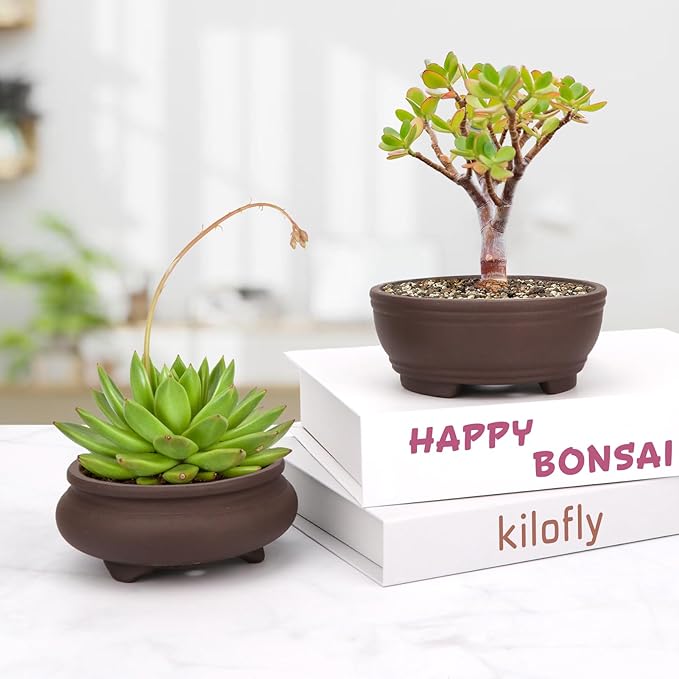 Bonsai Planter 2 pc 3.9" + 4.1" Unglazed Round Ceramic Succulent Pots Set